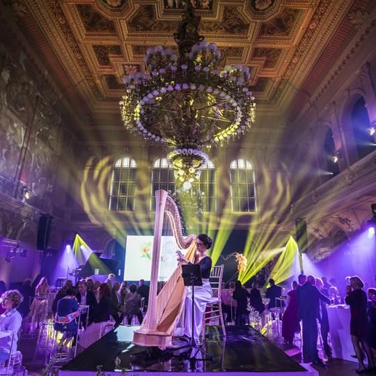 Ceremonial and VIP events